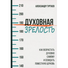 Духовная зрелость. Как возрастать духовно самому и созидать поместную церковь. Гуртаев Александр