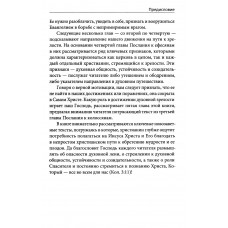 Духовная зрелость. Как возрастать духовно самому и созидать поместную церковь. Гуртаев Александр