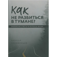 Как не разбиться в тумане? Алексей Коломийцев